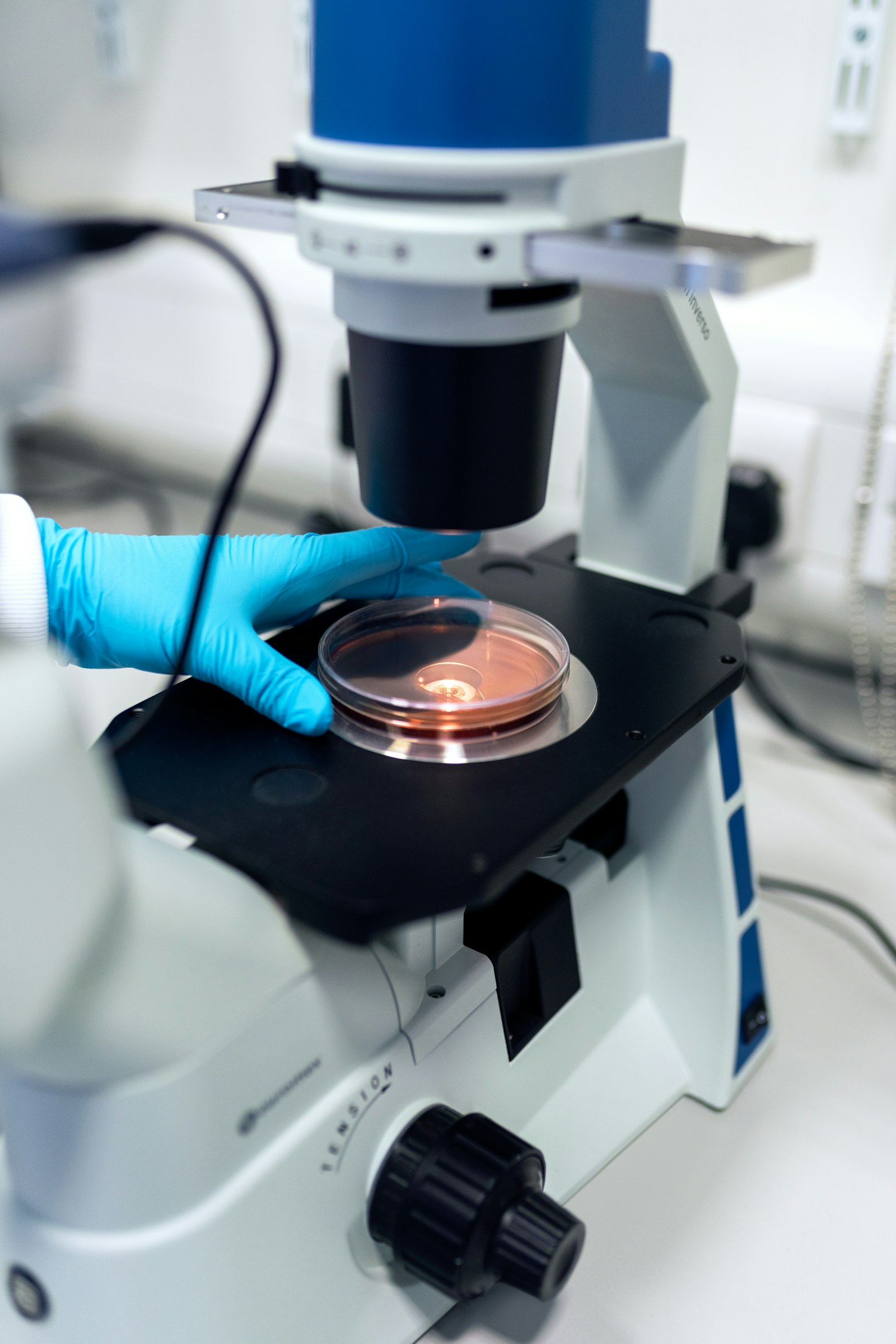 Cross-sectioned sample under laboratory microscopy for failure analysis