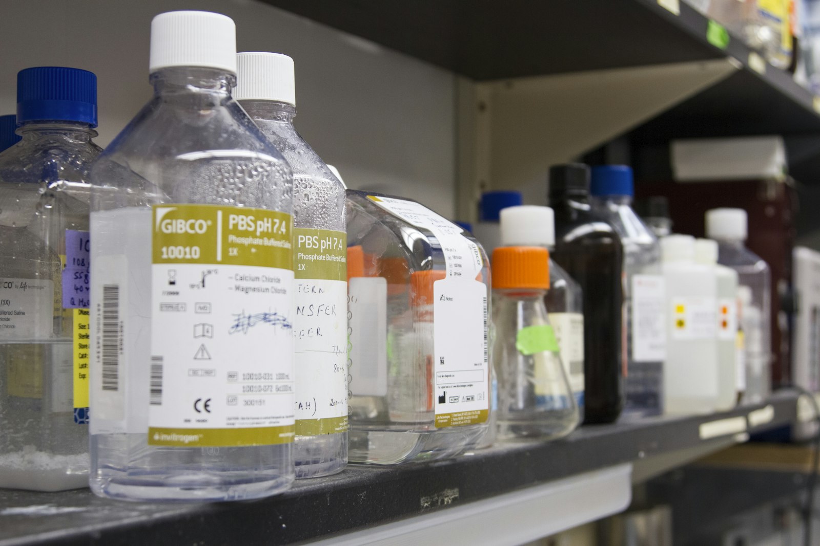 Gold ink formulation sample being prepared in the applications lab